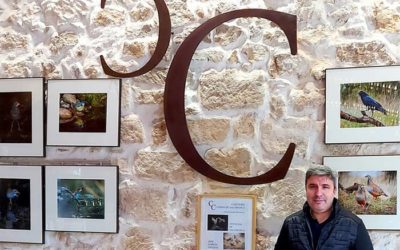 Exposición «Avifauna»