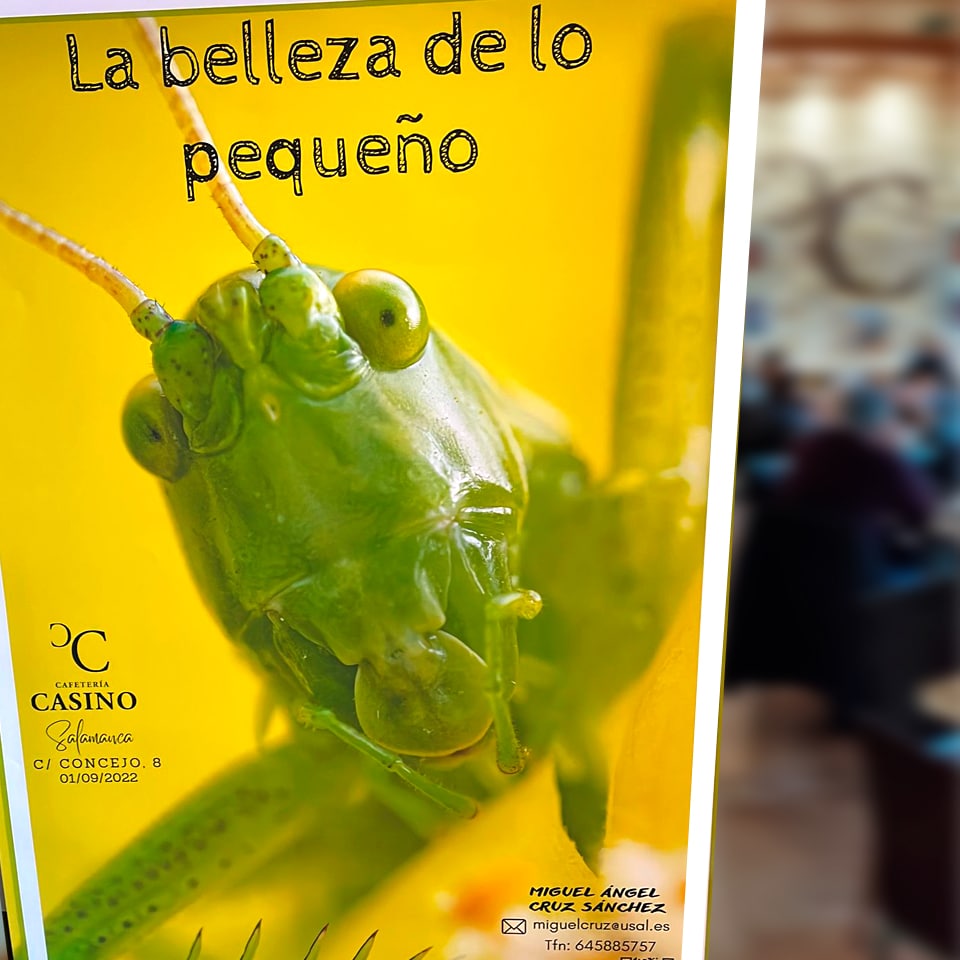 José García Vicente posando con su exposición Avifauna. Fotografía realizada por RTV al Día